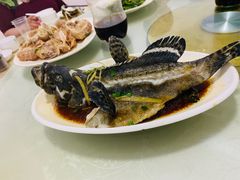 清蒸石斑鱼-小辣妹川味海鲜加工店(第一市场椰风巷店)