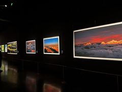 -罗红摄影艺术馆