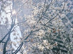 -陆家浜路(地铁站)
