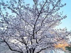 -世纪缘湖滨花园酒店(玄武湖店)