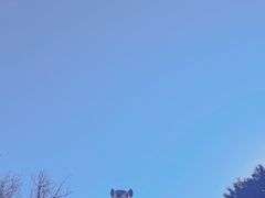 -丽泽山庄·生态怀柔菜·虹鳟鱼(红螺寺店)