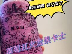 -野萃山·潮汕厚果汁(十亩地店)