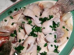 -大榕树下顺德菜(融创茂店)