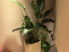-泰合玺·精油疗愈 SPA(南京河西万达店)