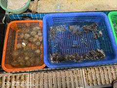 -鹰龙海畔度假酒店(咸祥店)