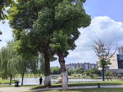 -李自健美术馆