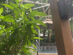 -碧水湾温泉