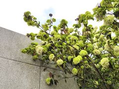 -大龙山(地铁站)