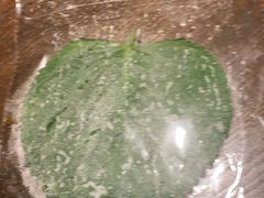 -新石器烤肉(中房金谊广场店)
