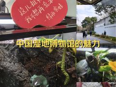 -中国湿地博物馆