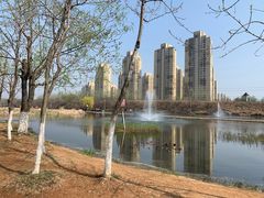 -前关湿地公园