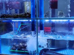 -粤香楼(新光里店)