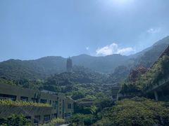-深圳仙湖植物园