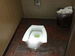 -原鄉本味 楚菜 丹江口鱼(北苑店)