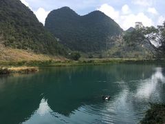 -靖西鹅泉风景区