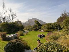 -桃花岛景观公园