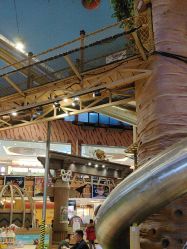 -卡通尼·Safari非洲探索乐园·生日会(金桥国际商业广场店)