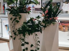 -深圳华盛奥特莱斯(华南一道店)