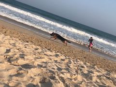 -西涌国际滨海旅游区