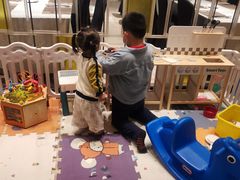 -青岛富力艾美酒店