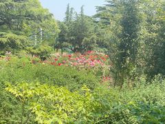 -国家植物园南园