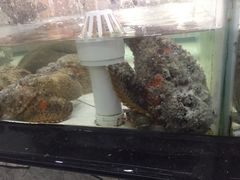 -沙田台山海鲜·酣客酒窖