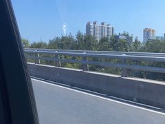 -大孩龙虾(体育场旗舰店)