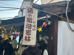 -猫的魔法密林(衣裳街店)