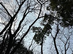 -杭州黄龙洞
