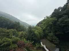 -韬光茶庵
