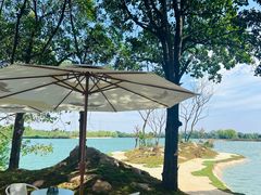 -军山湖云水间生态农业旅游景区