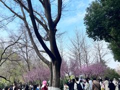 -堤角公园
