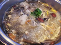 鲜人参锅底-千岛蚝高压锅生蚝·人参火锅(白云万达店)