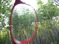 -镇江市南山风景名胜区竹林景区