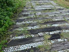 -嘉和冠山海高尔夫球会