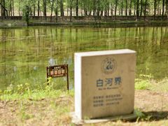 -百里山水画廊