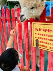 -萌宠亲子动物乐园(槐房万达店)