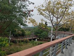-立新湖公园
