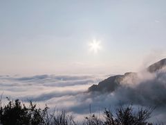 -白草畔自然风景区