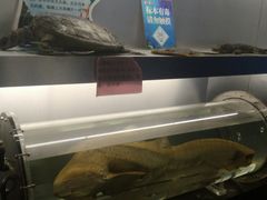 -洛阳龙门海洋馆