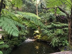 -清迈丛林飞跃 JungleFlight