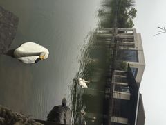 怡沁园度假村-上海怡沁园度假酒店