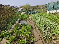 -大笑饭堂(甲子桥店)