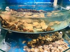 -蓝珊甄选海鲜自助·火锅大排档(近阿那亚店)