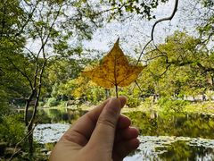 -灵谷景区