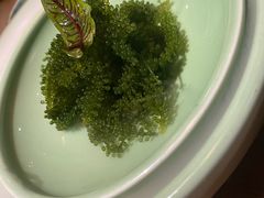 -荟廷·晶萃(陆家嘴尚悦湾店)