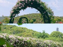 -龙寺生态园
