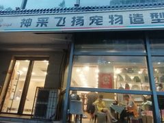 -神采飞扬宠物美容(香港路店)