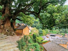 -杨家堂村