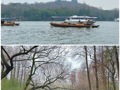 -西湖外事游船(花港观鱼码头)